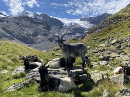 Stubai 2023